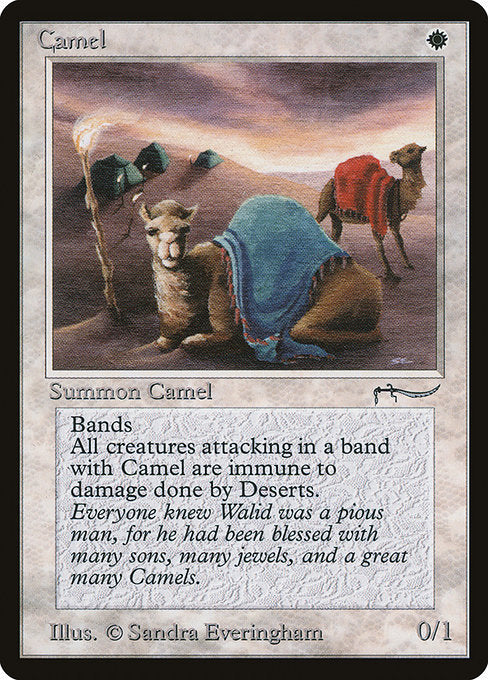 mtg arabian nights cards Camel variante:The siege of Alexandra Mint / near mint Magic the Gathering: Tarkir Vault Membership Booster Box