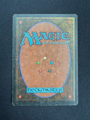 Mirror Universe (LEG)