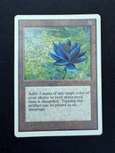 Black Lotus (UNL)