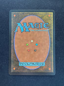 Tropical Island (REV)