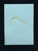 Hasran Ogress (Arabian Nights Playtest)