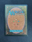 Tropical Island (FBB)