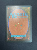 Mirror Universe (LEG)