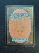 Birds of  Paradise (7ED)