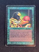 Natural Selection (LEB)