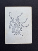 Wolves [Timber Wolves] (Gamma Playtest)