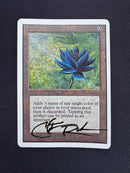 Black Lotus - Unlimited Edition
