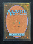 Ali from Cairo (ARN)