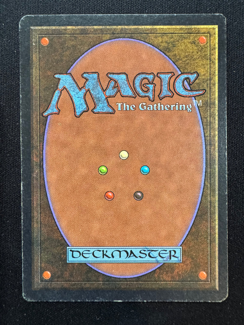 Ali from Cairo (ARN)