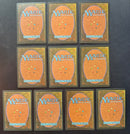 Revised Dual Land Set (REV)