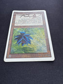 Black Lotus - Unlimited Edition