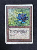Black Lotus (UNL)