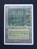 Bayou - Unlimited Edition