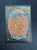 Elephant Graveyard (ARN)