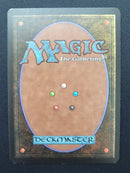 Natural Selection (LEB)