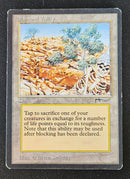 Diamond Valley (ARN)