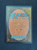 Tropical Island (REV)