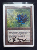 Black Lotus - Unlimited Edition
