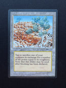 Diamond Valley (ARN)