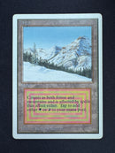 Taiga - Unlimited Edition