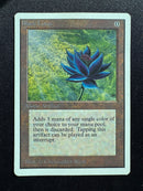 Black Lotus (UNL)