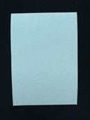 Giant Tortoise (Arabian Nights Playtest)