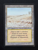 Elephant Graveyard (ARN)