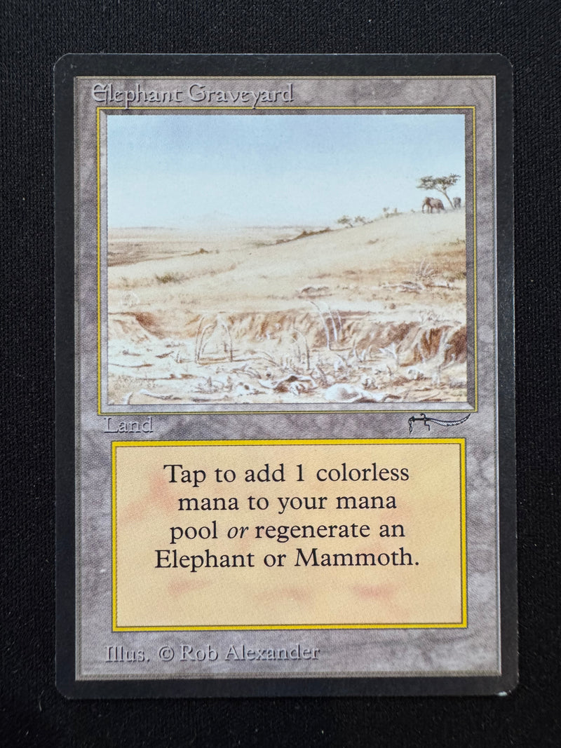 Elephant Graveyard (ARN)