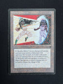 Mirror Universe (LEG)