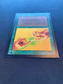 Instill Energy (LEB-AP)