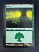 Test Print - M15 - Forest