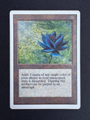 Black Lotus - Unlimited Edition