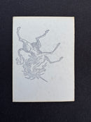 Skeletons [Drudge Skeletons] (Gamma Playtest)