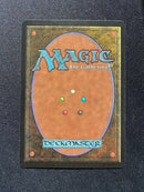 Birds of Paradise (LEB)