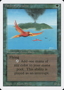 Birds of Paradise (REV)