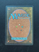 Tropical Island (UNL)