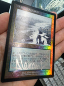 Polluted Delta Foil (ONS)