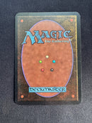 Northern Paladin (LEA)