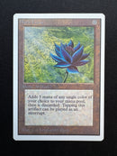Black Lotus (UNL)