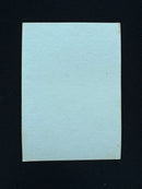 Giant Tortoise (Arabian Nights Playtest)