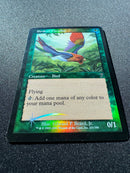 Birds of  Paradise (7ED)