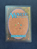 Tropical Island (REV)