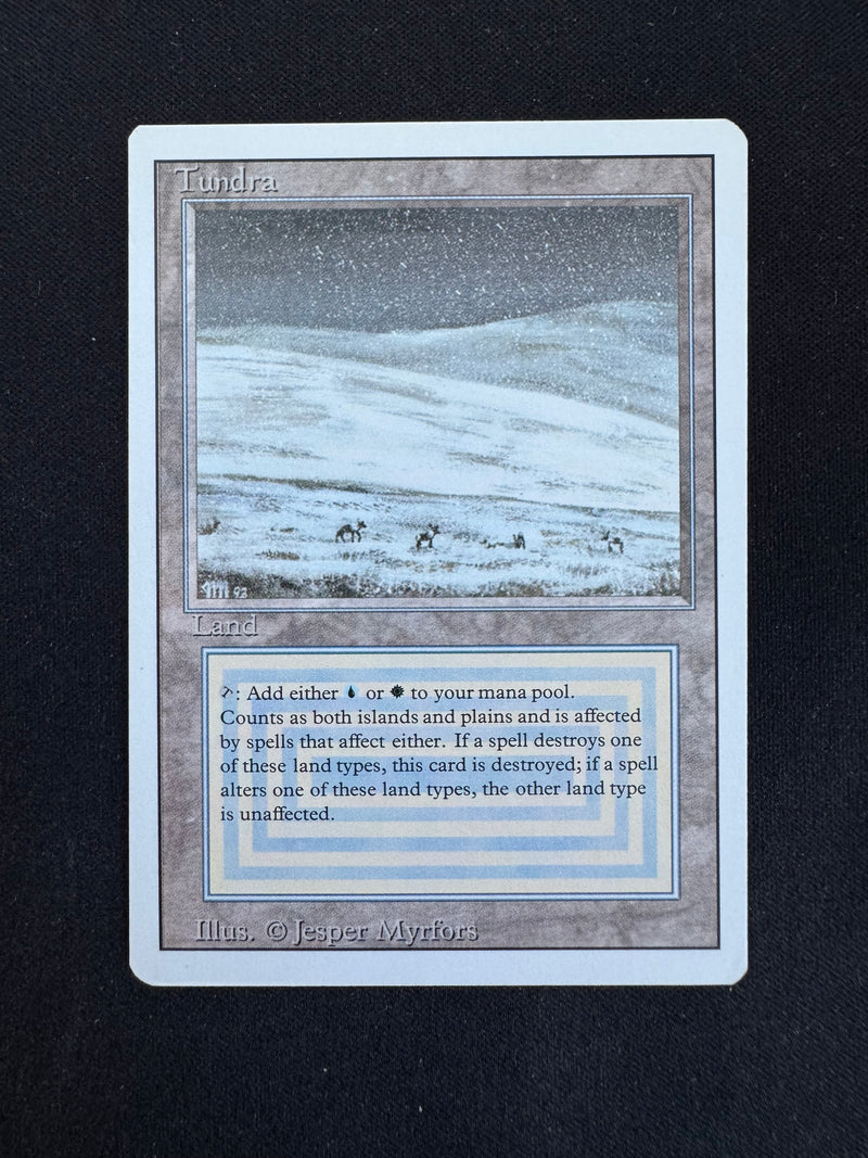 Tundra (REV)