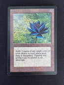 Black Lotus (LEB)