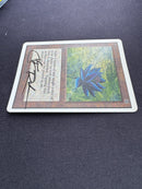 Black Lotus - Unlimited Edition