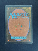 Ali from Cairo (ARN)