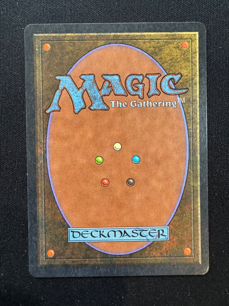 Ali from Cairo (ARN)