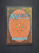 Mirror Universe (LEG)