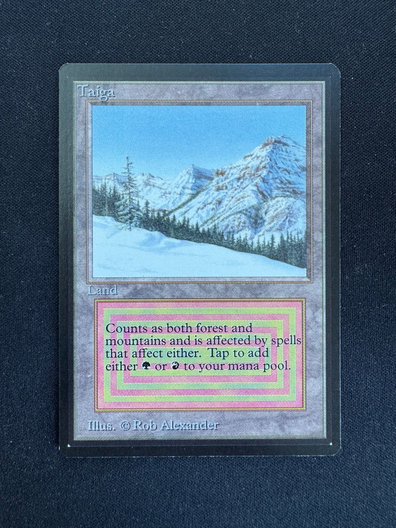 Taiga (LEB)