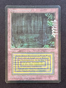 Bayou - Revised Edition Foreign Black Border (FBB)